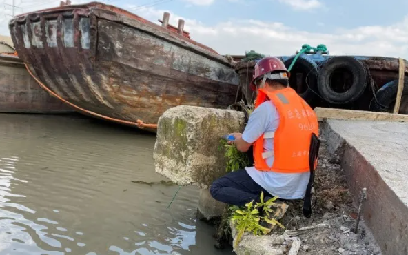維修碼頭工程質(zhì)量檢測