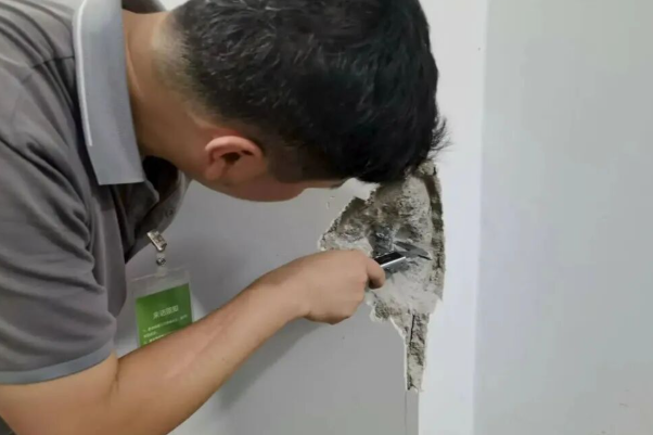 房屋安全質(zhì)量檢測