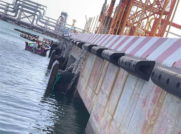 橋梁檢測部成功完成古鎮(zhèn)旅游區(qū)浮游碼頭